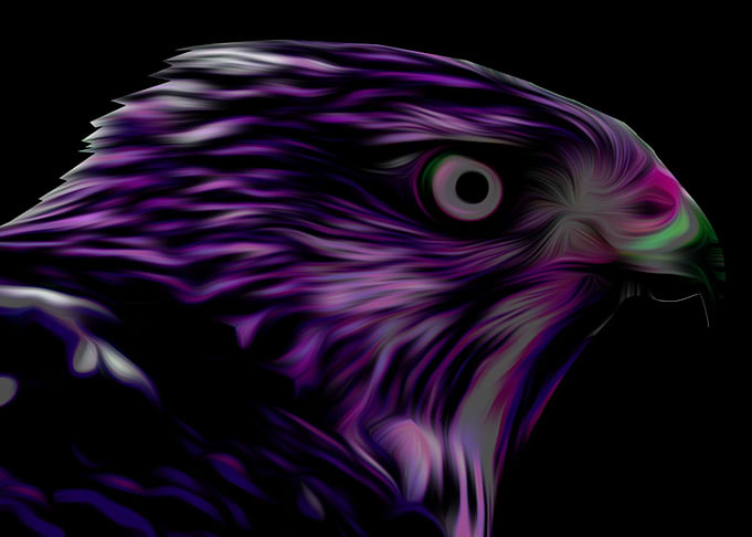 eagle