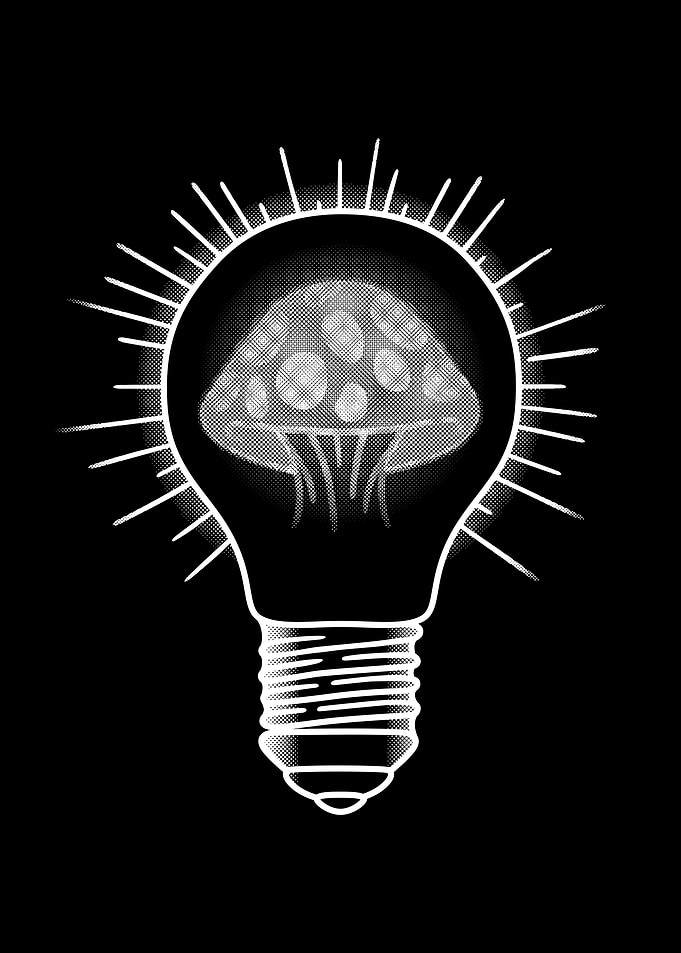 Mushroom Enlightenment