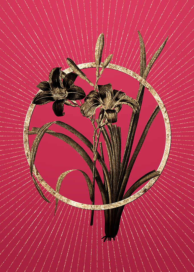 Orange Day Lily on Magenta