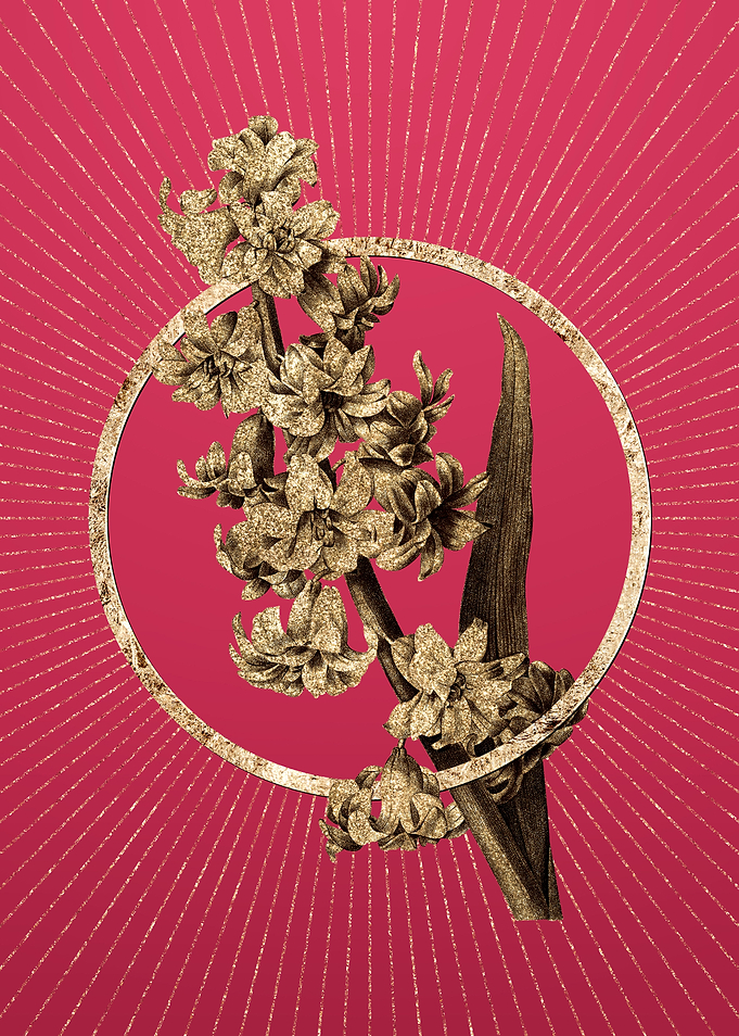 Gold Oriental Hyacinth