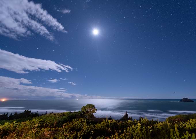 Starry moonlight ocean