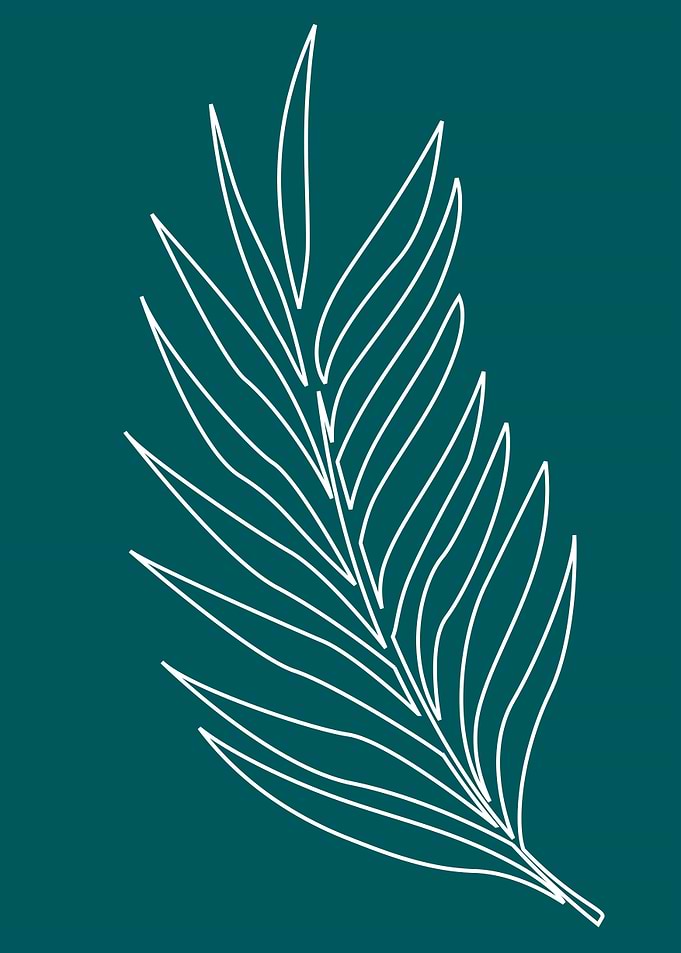 leaf