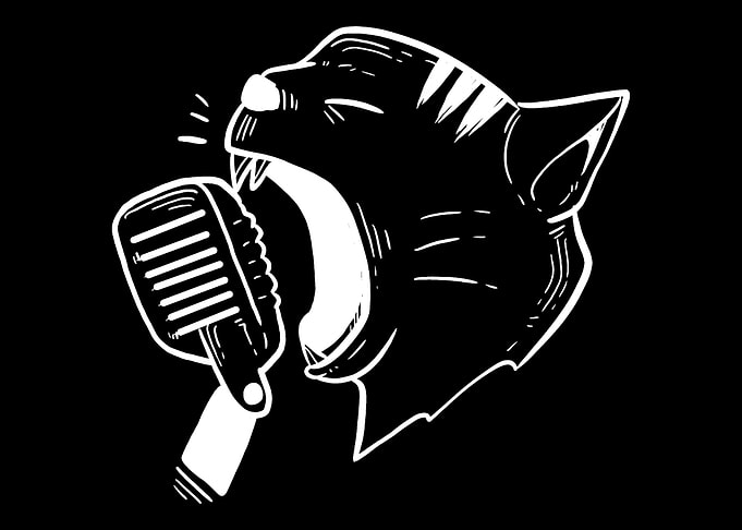 Singing Cat Singer or Perf