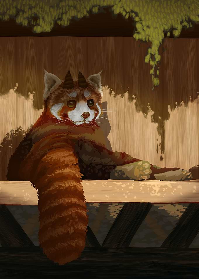 Red Panda