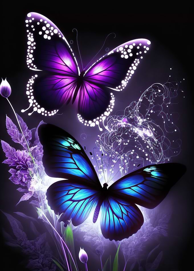 Butterfly colorful