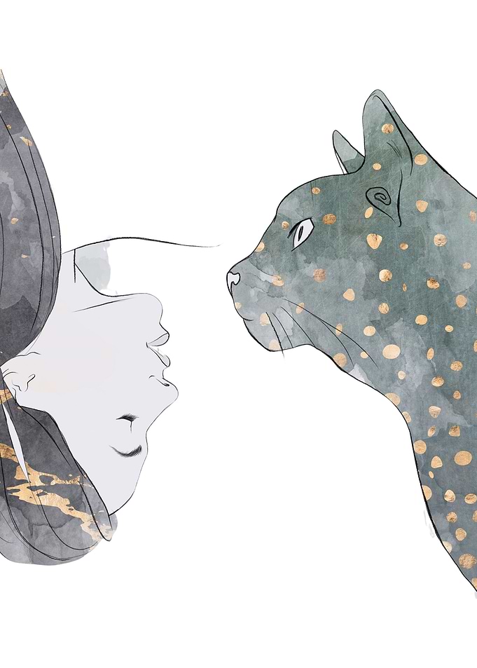 Women Cat Pet Girl Animal