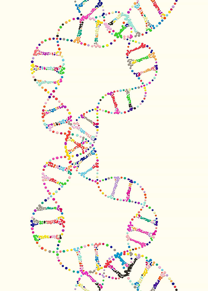 Dna double helix genetics