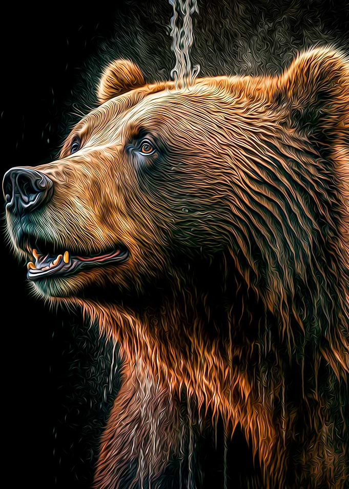 Bear