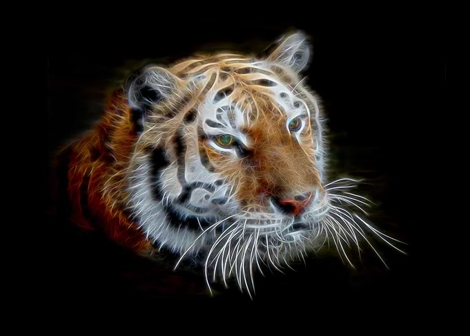 Electric Tiger