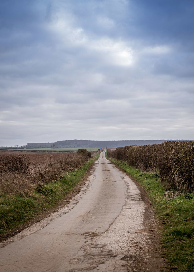 Long Road Into Blue Sky