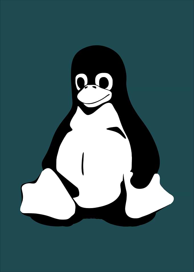 Noot Noot