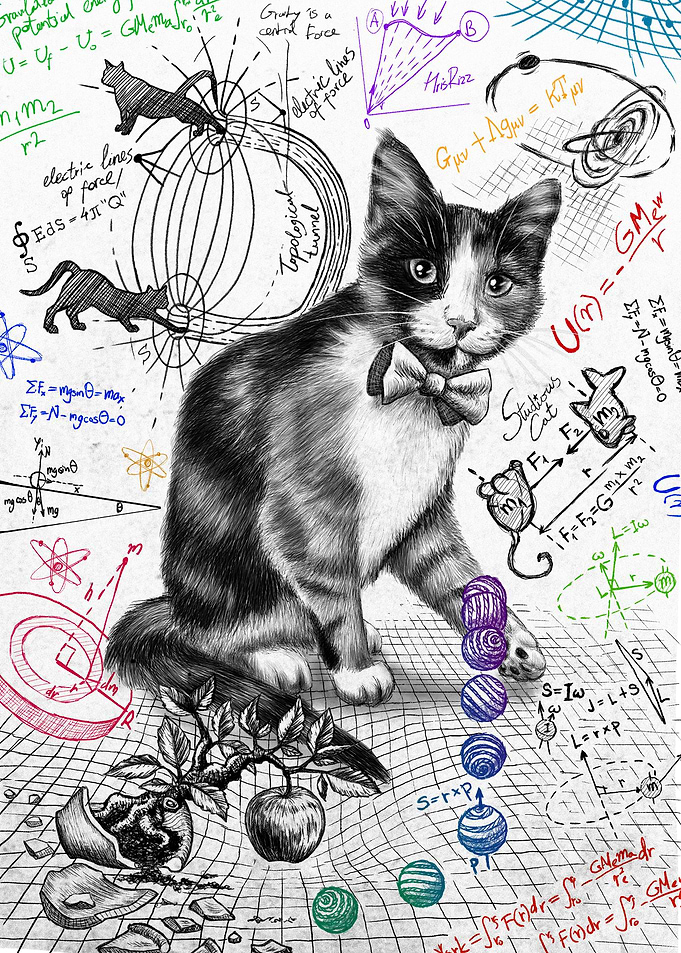 Cat Studying Gravity W