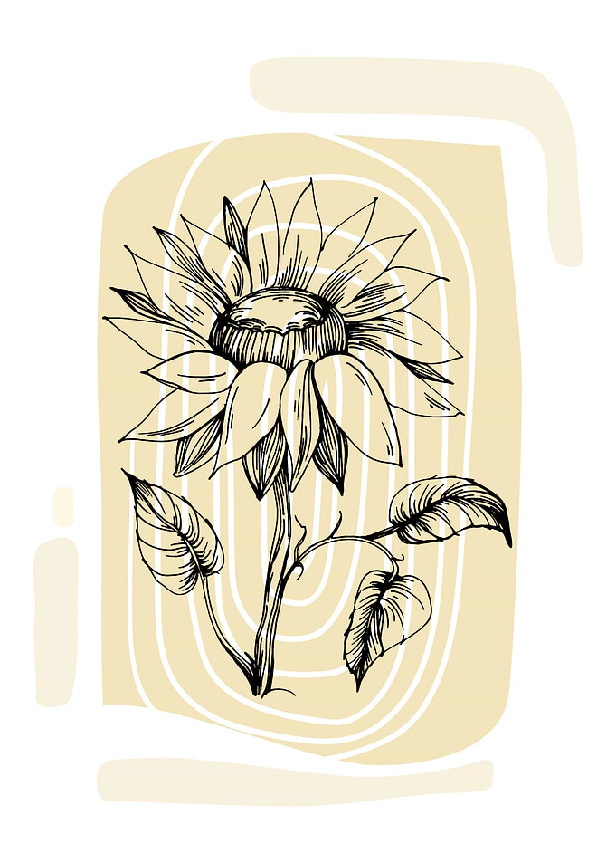 Warmth of Sunflowers