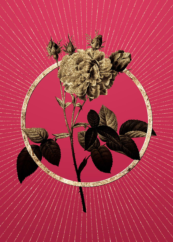 Gold Pink Agatha Rose