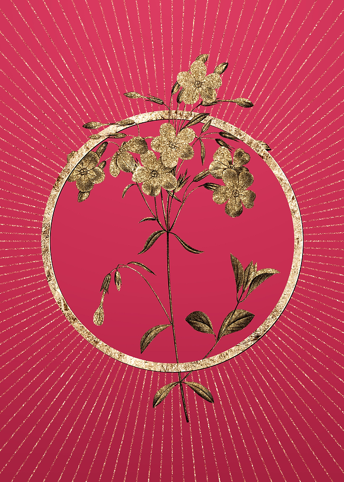 Gold Phlox on Viva Magenta