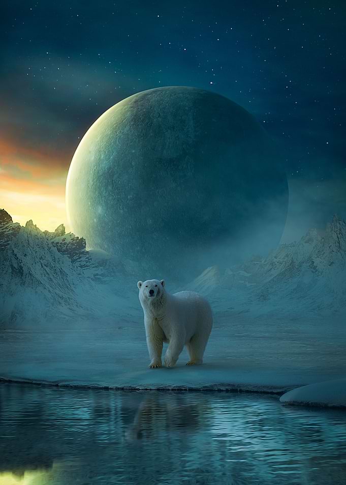 Quiet Winter