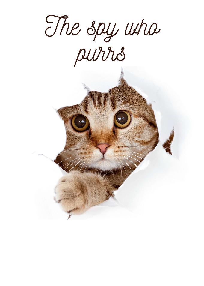 The spy ho purrs