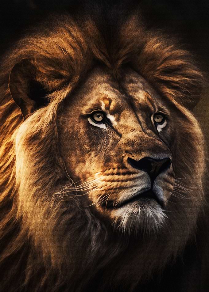 Face Lion Portrait