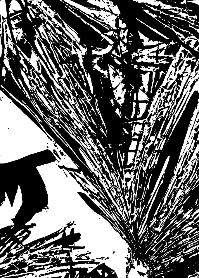 Black and White Abstract