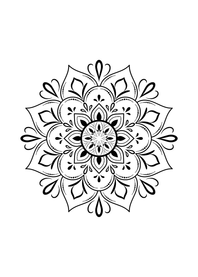 nature floral ornament
