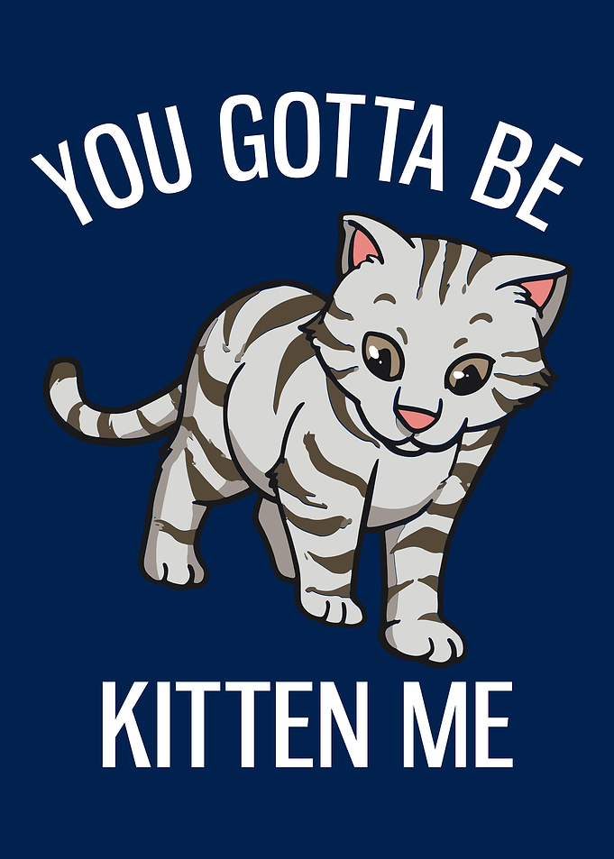 You Gotta Be Kitten Me