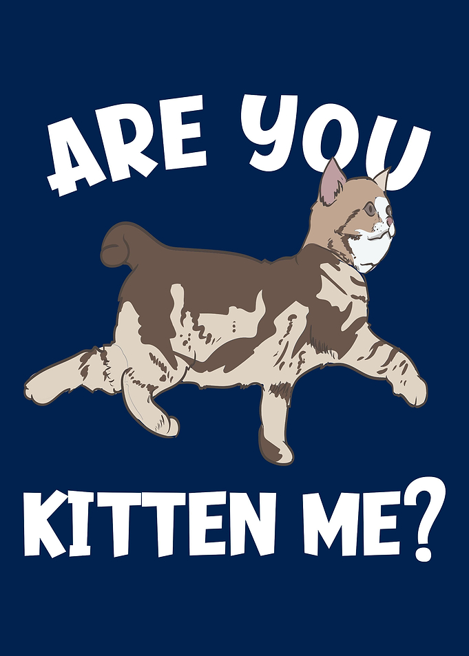Are You Kitten Me Cat Love