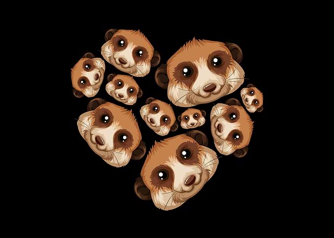 meerkat