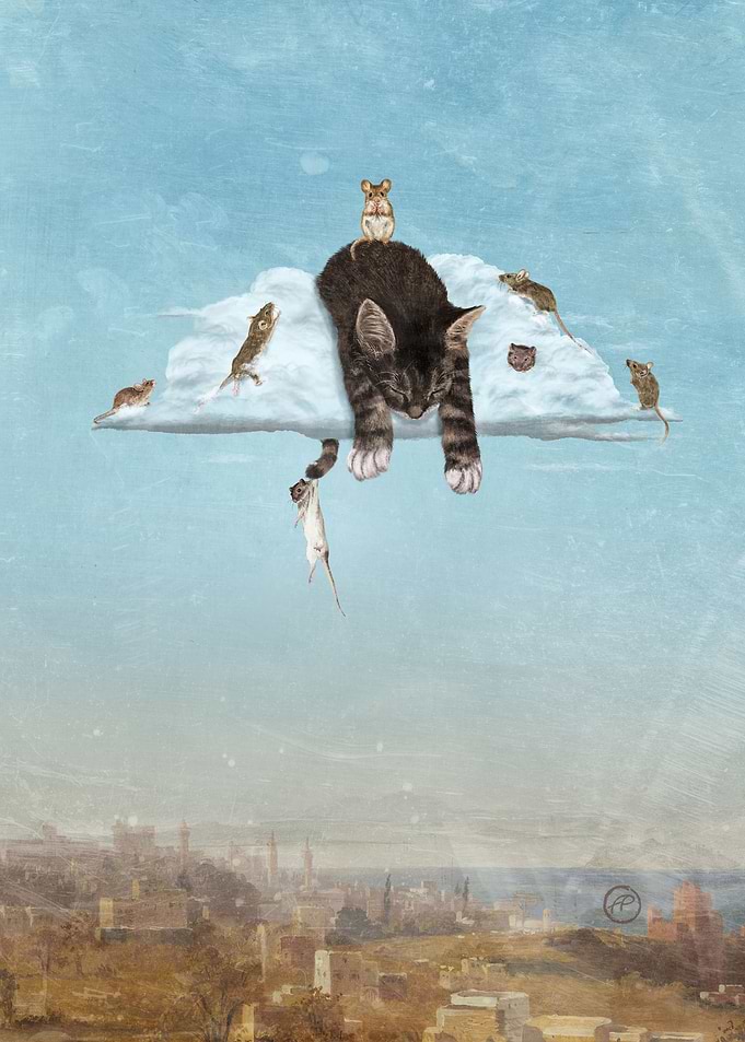 A Cat s Dream