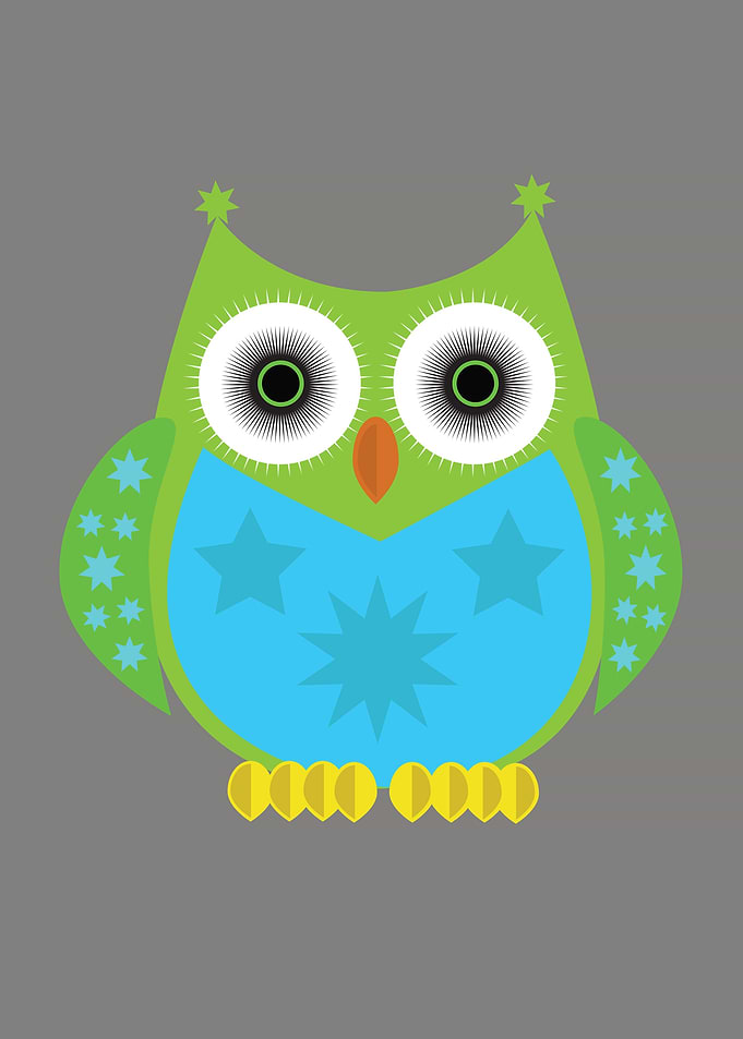 Star Owl Green Blue