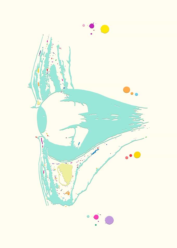 Human eye section