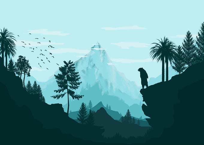 landscape forest