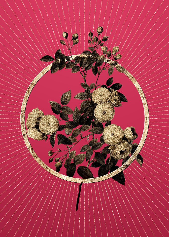 Pink Baby Roses on Magenta
