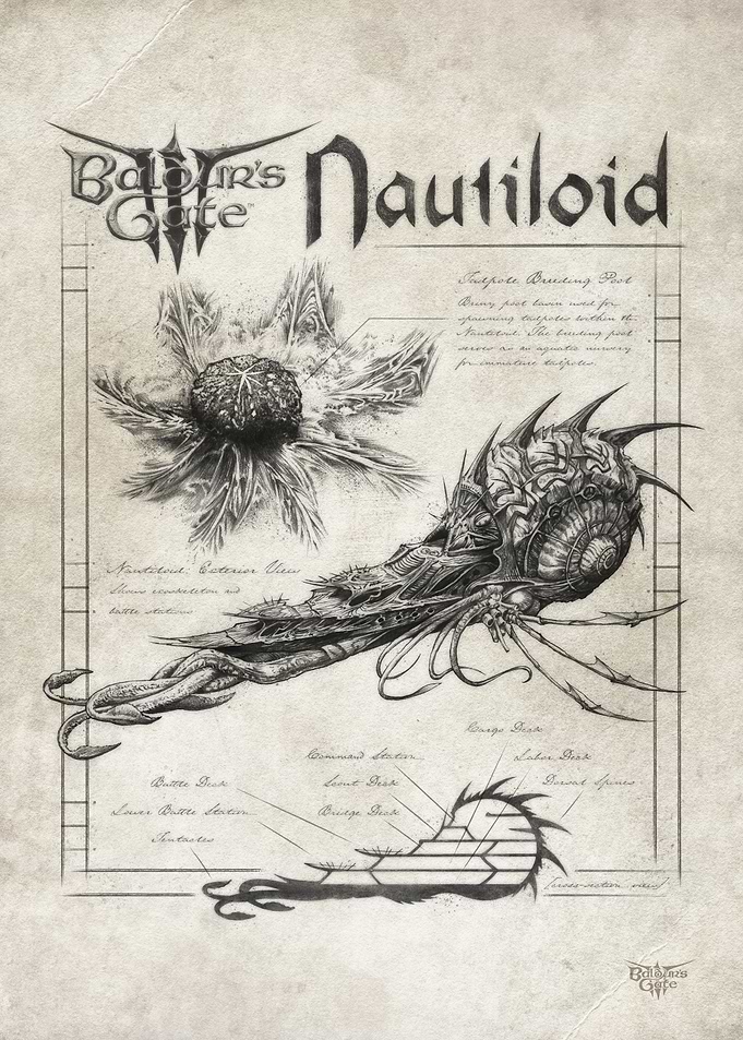 Nautiloid