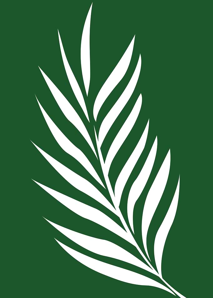 leaf minimalist