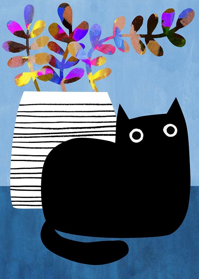 Black Cat on Cornflower