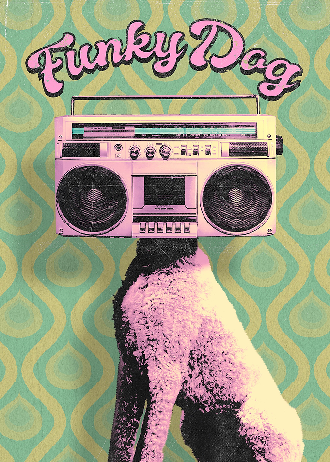 Funky Music Dog