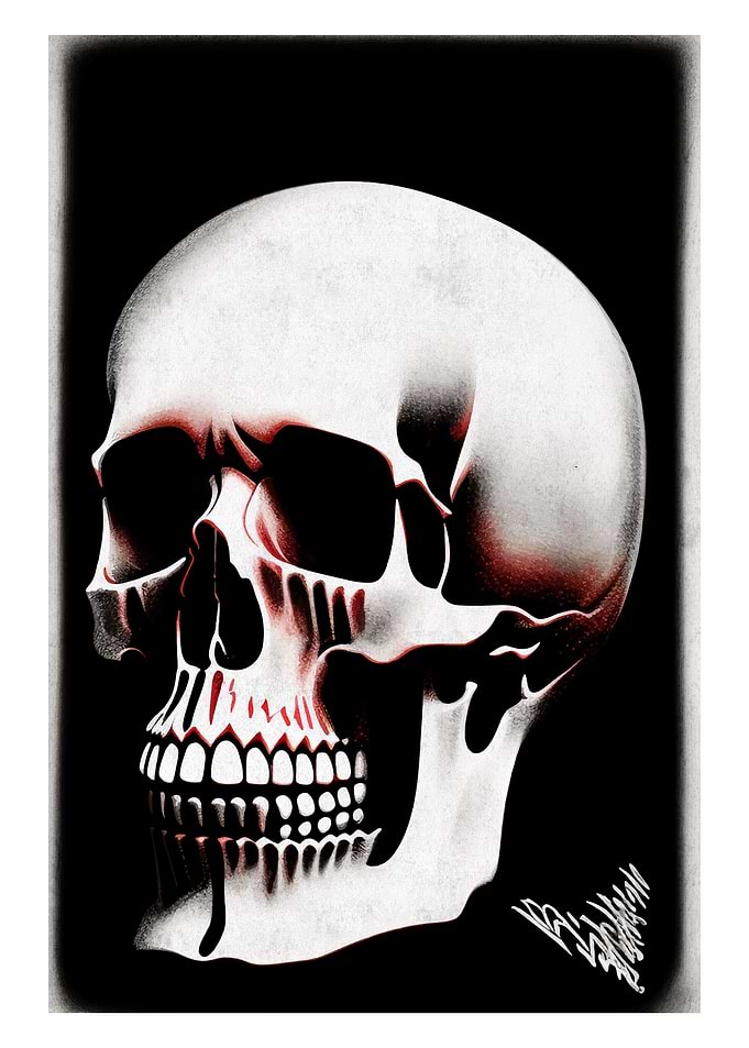 face skull