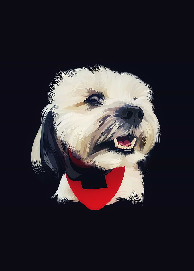 Dog 5