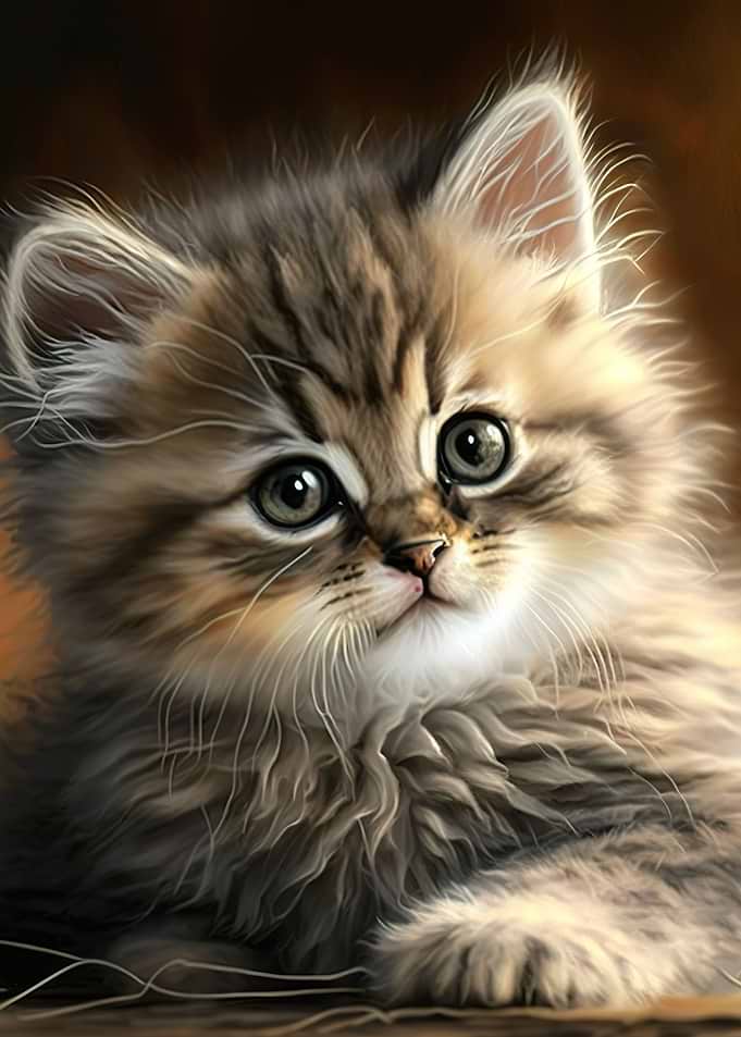 cat cute animal