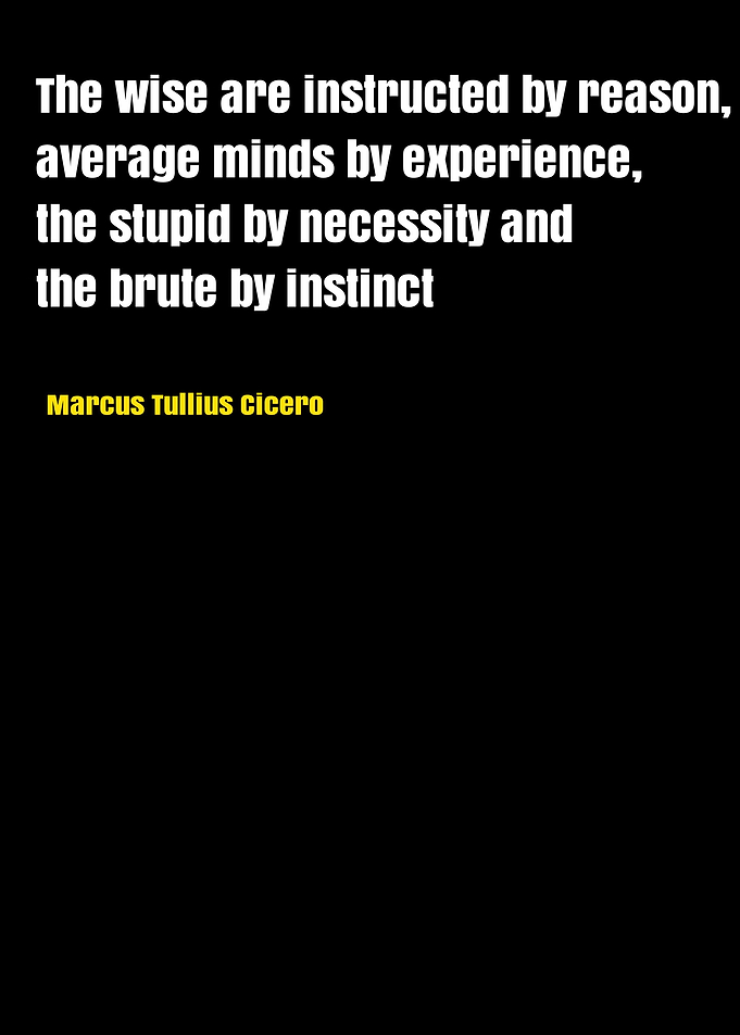 Marcus Quotes