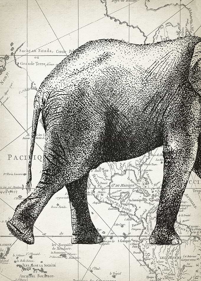 Elephant body piece 1