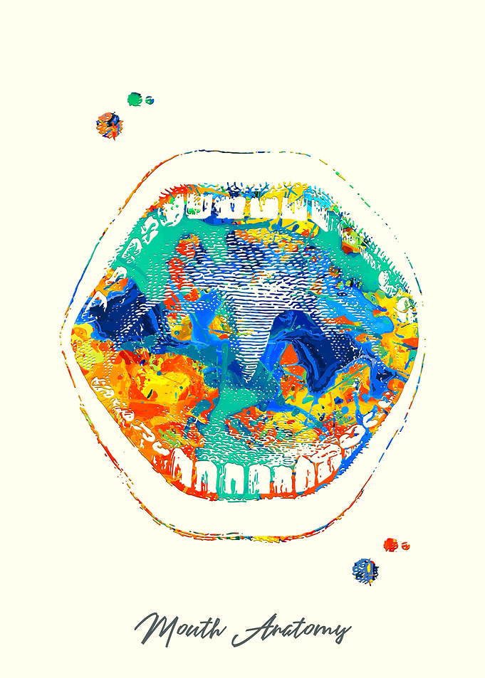 Mouth anatomy