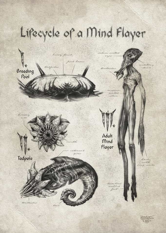 Lifecycle of a Mind Flayer