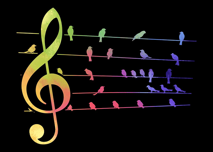 Colorful Birds Musical