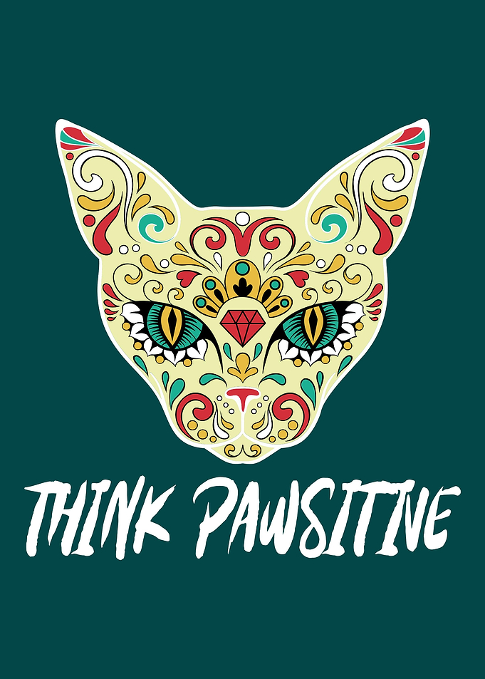 Pawsitive Mandala Cat