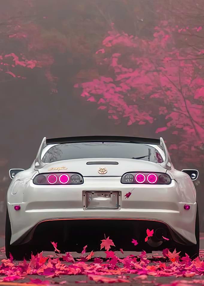 White Supra