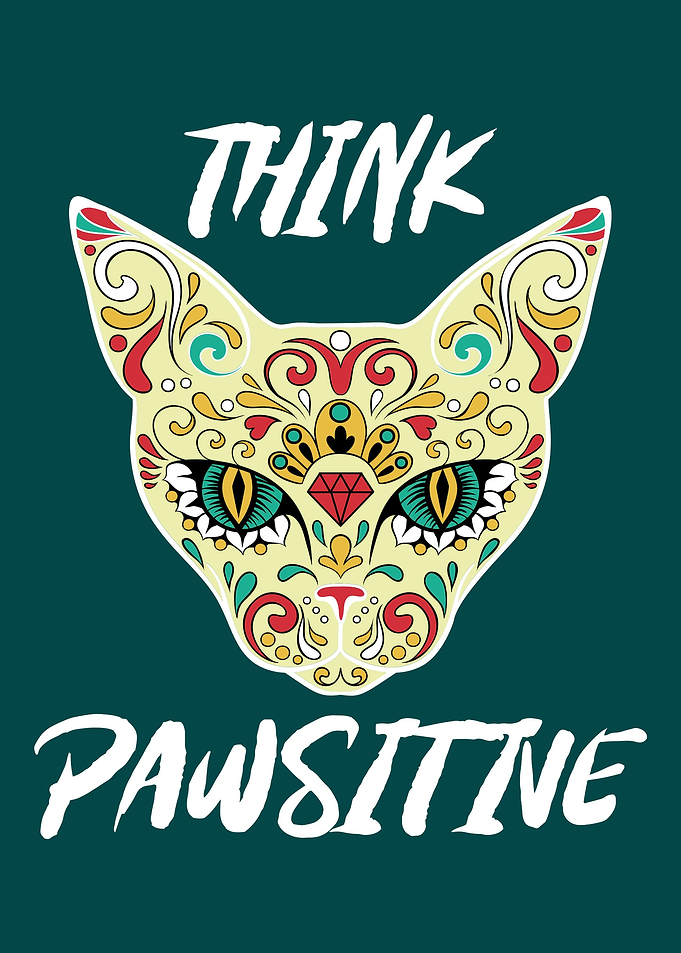 Pawsitive Mandala Cat