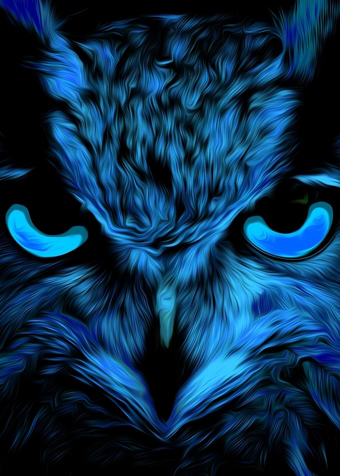 Owl