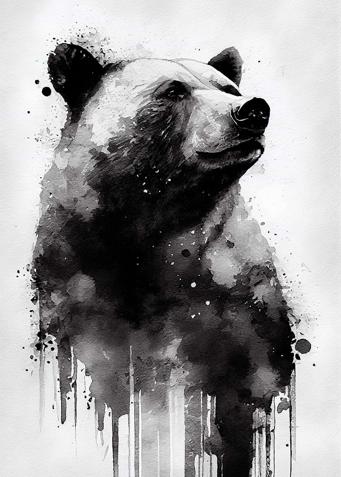 Bear White