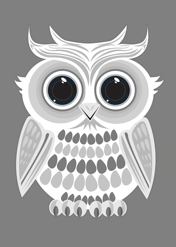 White Owl